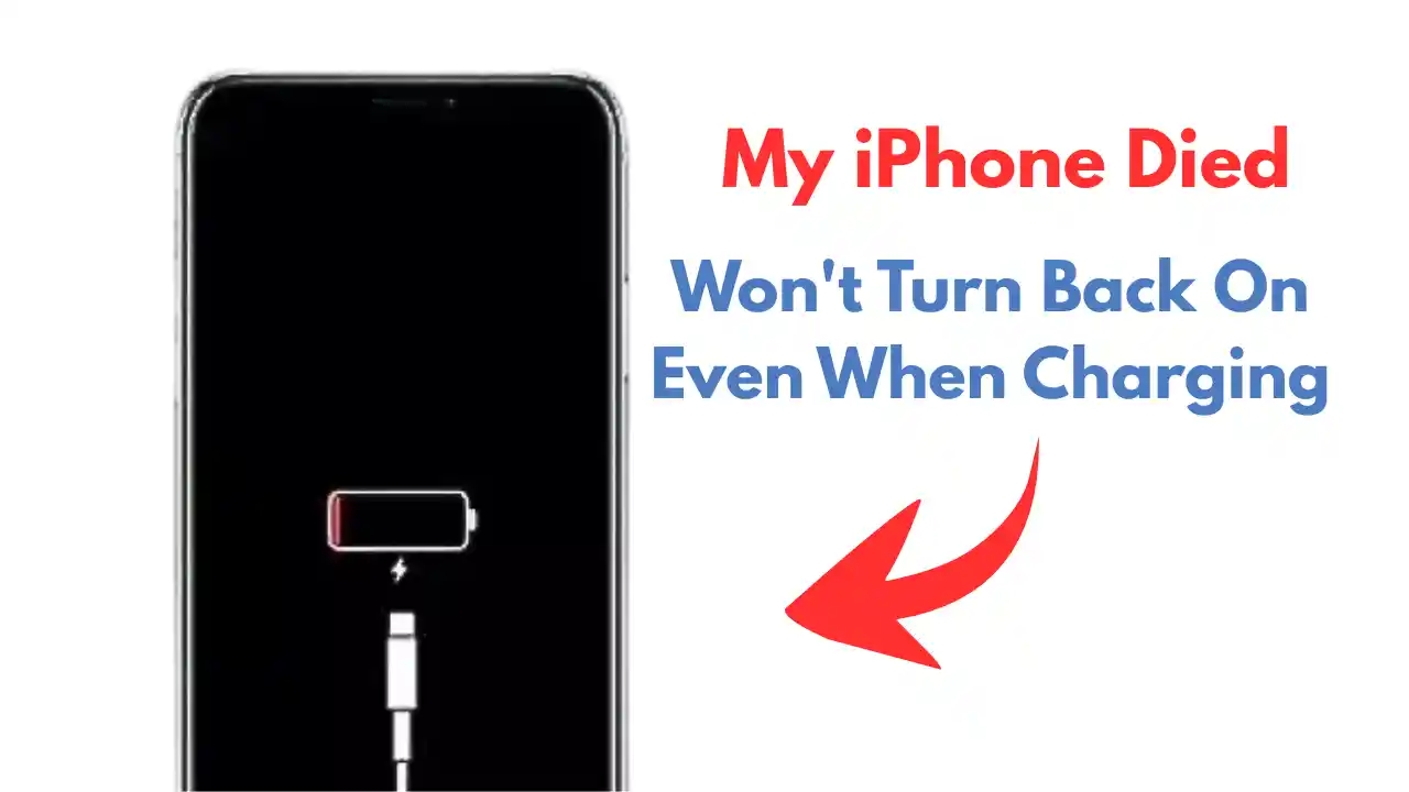 My iPhone Died and Won't Turn Back On Even When Charging