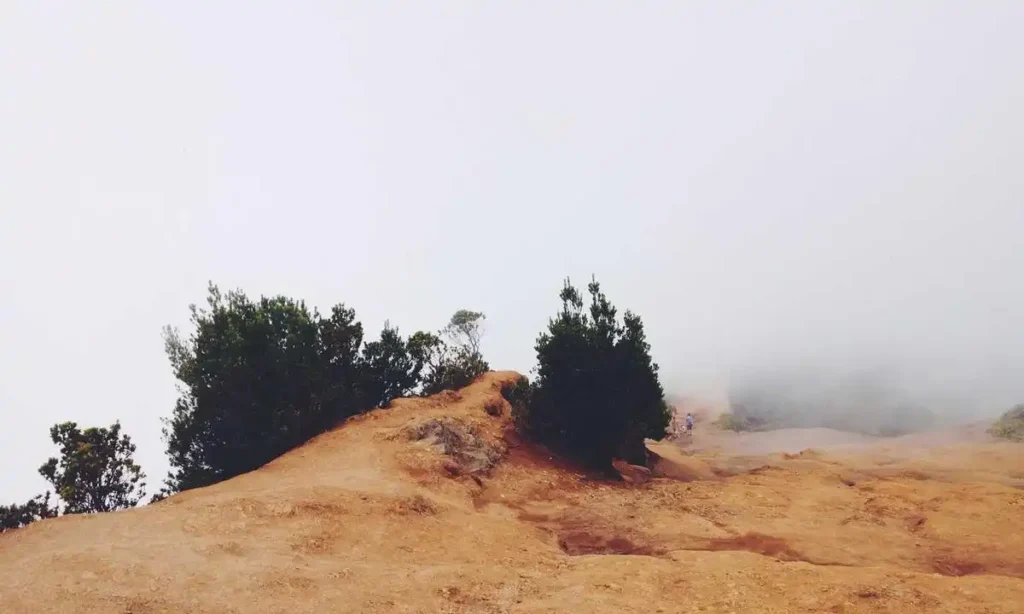 YouTube news: Disney announces Jimmy Kimmel's show will return to air on Tuesday following suspension amid controversy.